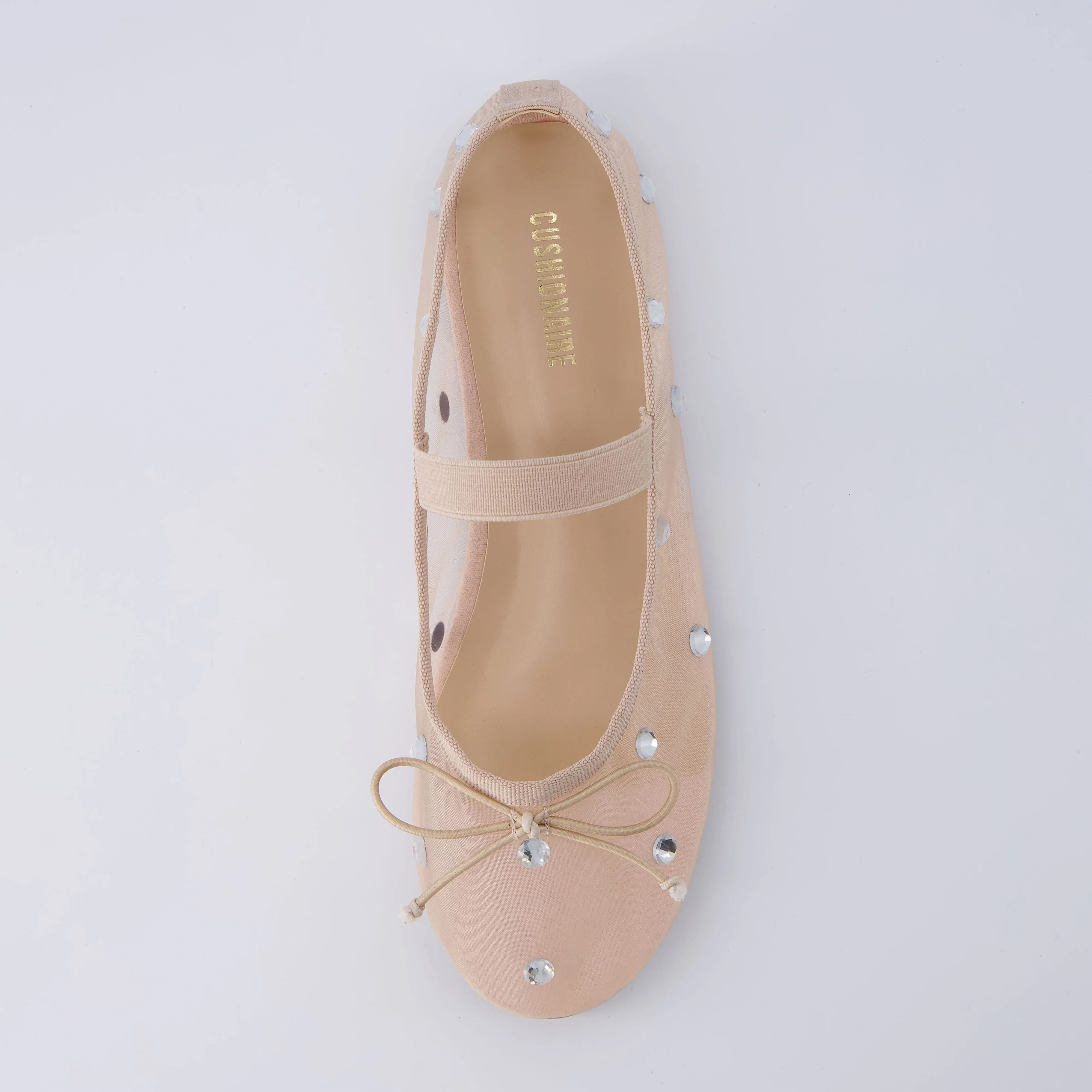 Elegant Mary Jane Flat